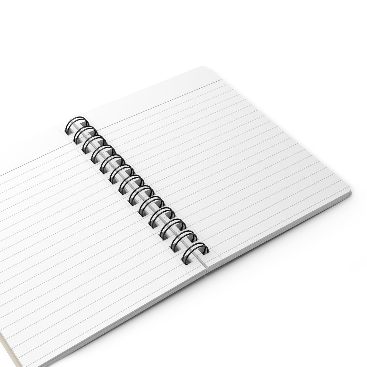 Turning Worries into Prayers Prayer Journal